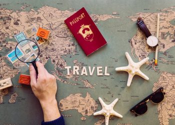 crop-hand-holding-magnifying-glass-stamps_23-2147732537